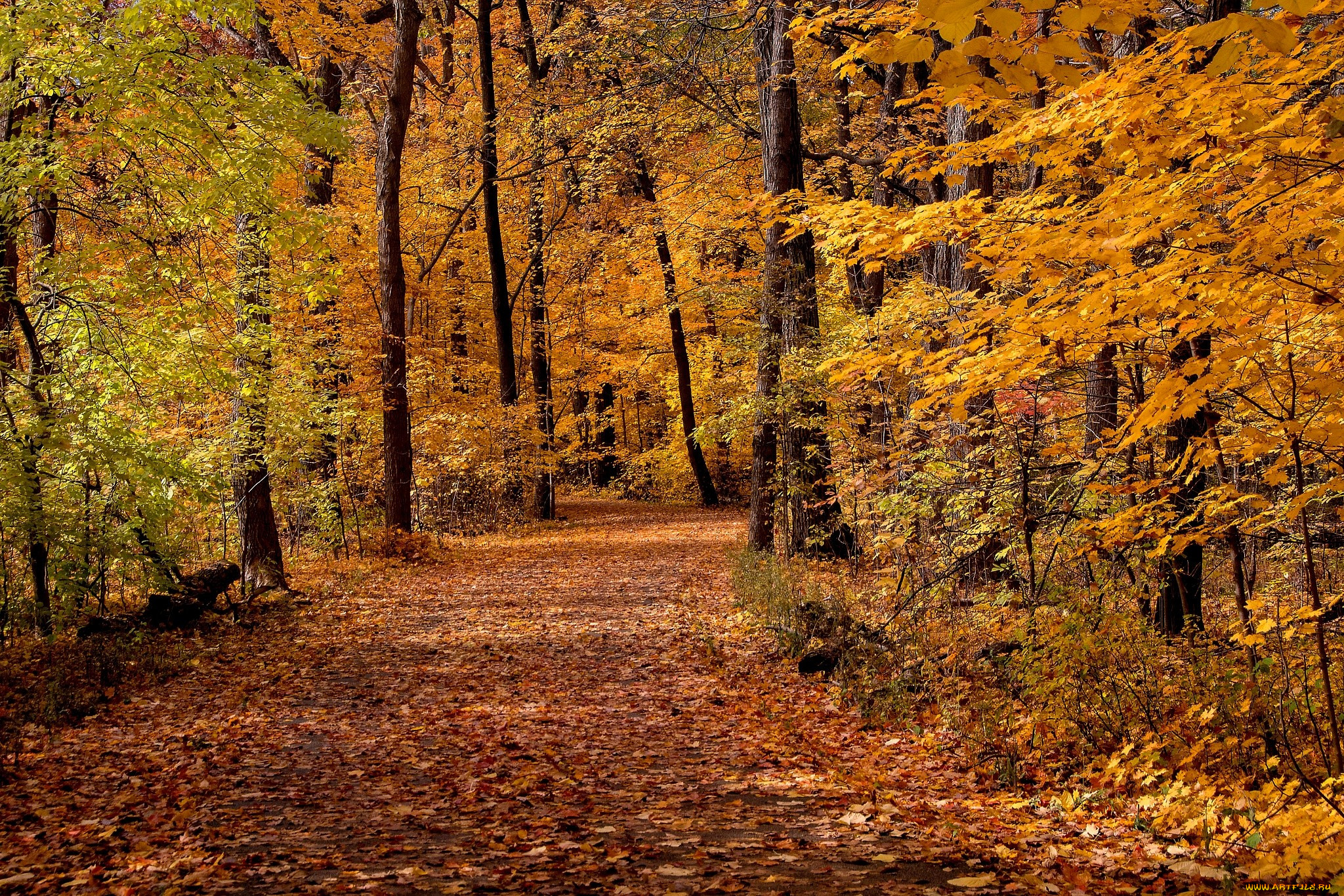 �������, ������, ���, �������, ������, �������, �����